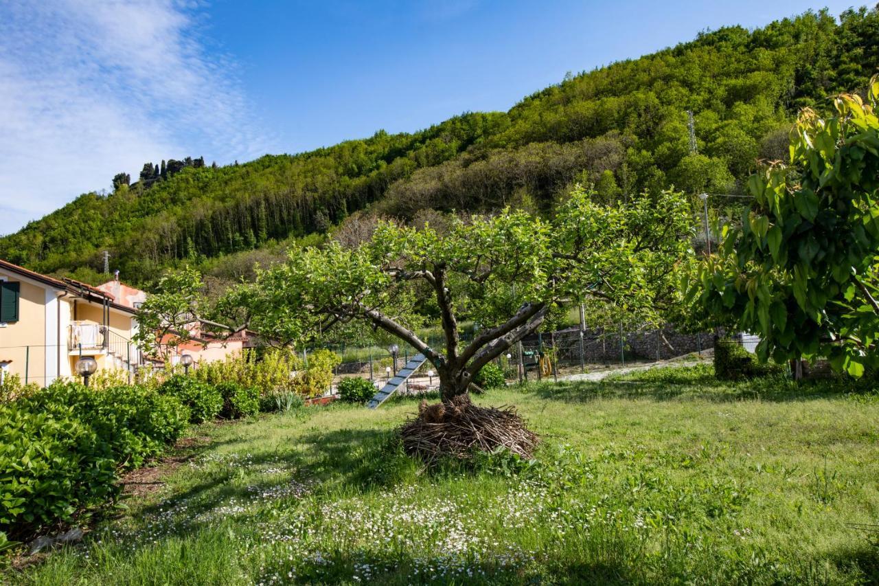 Вілла Apicella Casa Vacanze Трамонті Екстер'єр фото